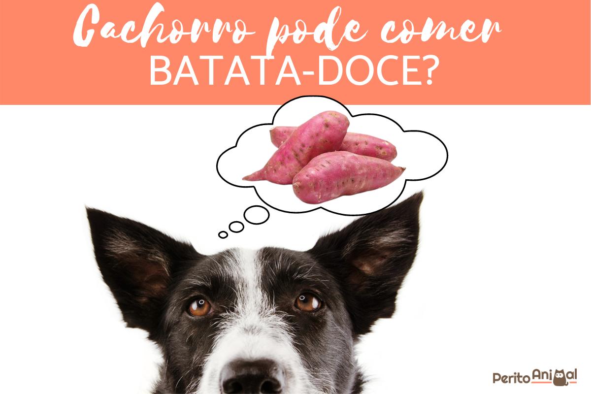 A Batata Doce Cozida é Segura? Entenda a Forma Correta de Preparo - inspiração 1