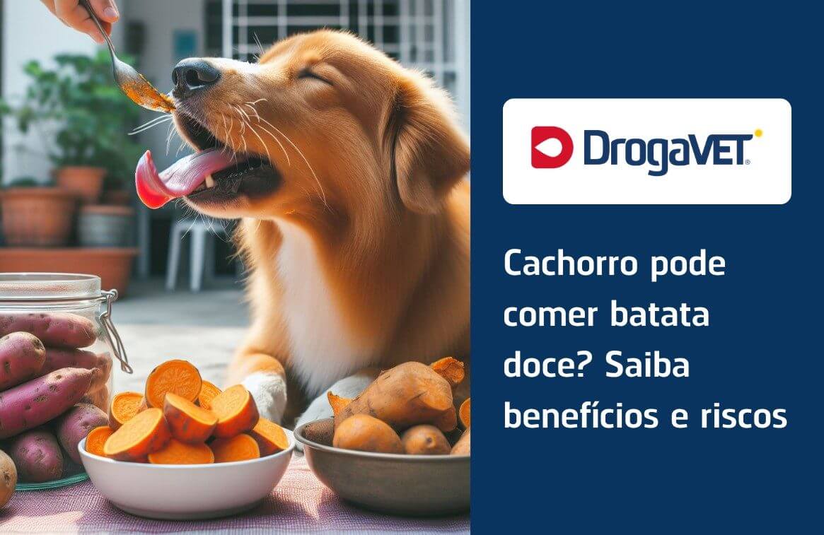 Possíveis Riscos e Alergias: O Que Ficar Atento - inspiração 2