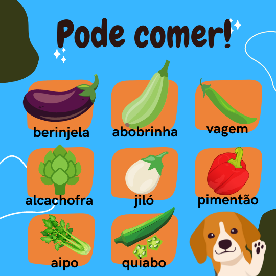 Como Introduzir a Batata Doce na Rotina Alimentar do Seu Cão - inspiração 2
