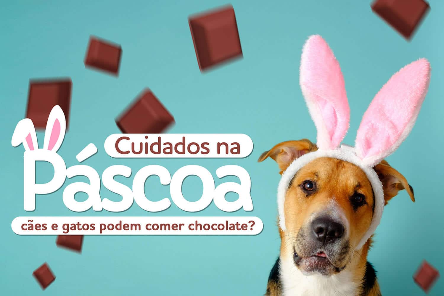 O Que Fazer Se Seu Cachorro Lambeu ou Comeu Chocolate? - inspiração 1