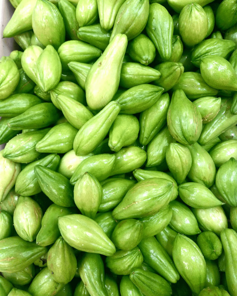 Quais partes do chuchu são seguras para o consumo canino? - inspiração 1