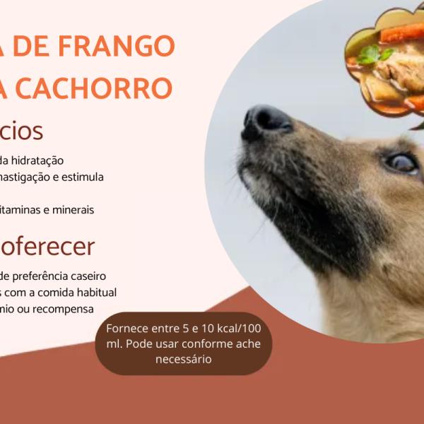 Riscos e Cuidados Essenciais ao Oferecer Frango ao Seu Cão - inspiração 1