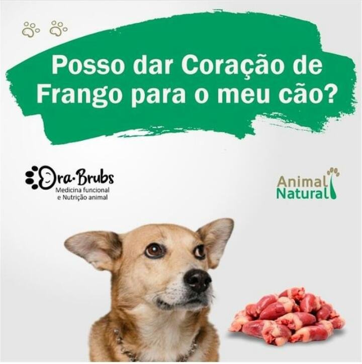 Porções Ideais: Quanto Frango Seu Cachorro Pode Comer? - inspiração 1