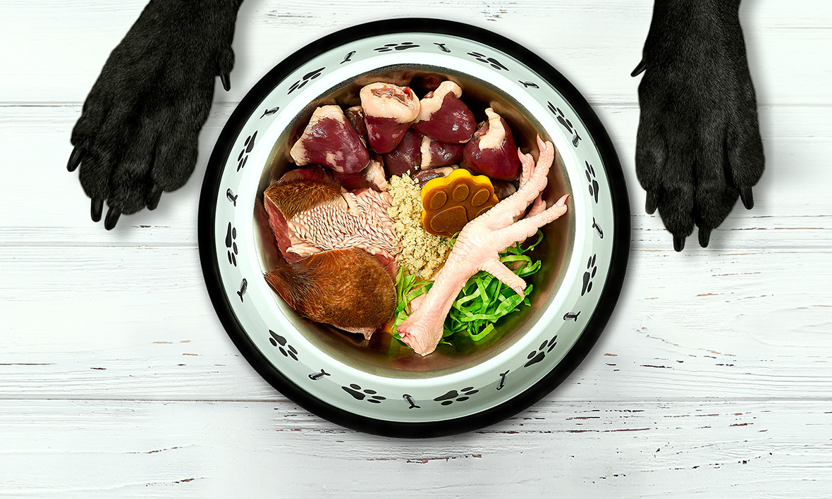 Alergias e Intolerâncias Alimentares: Sinais de Alerta com Frango - inspiração 1