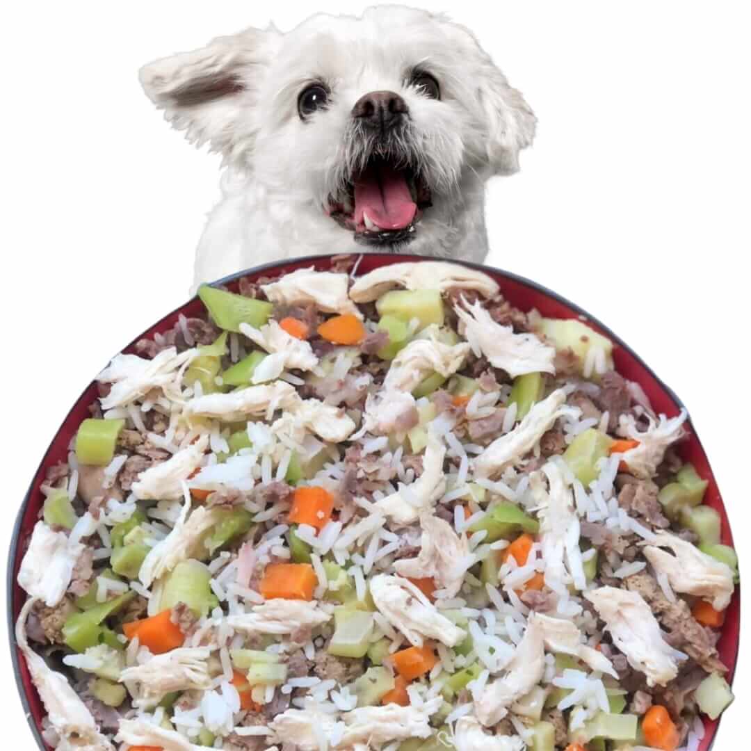 Alternativas ao Frango: Outras Fontes de Proteína para Seu Cão - inspiração 1