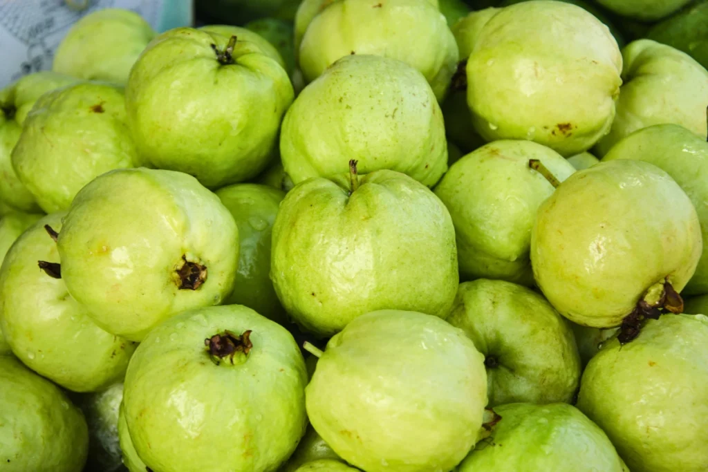 Receitas Simples e Deliciosas com Goiaba para Cães - inspiração 1