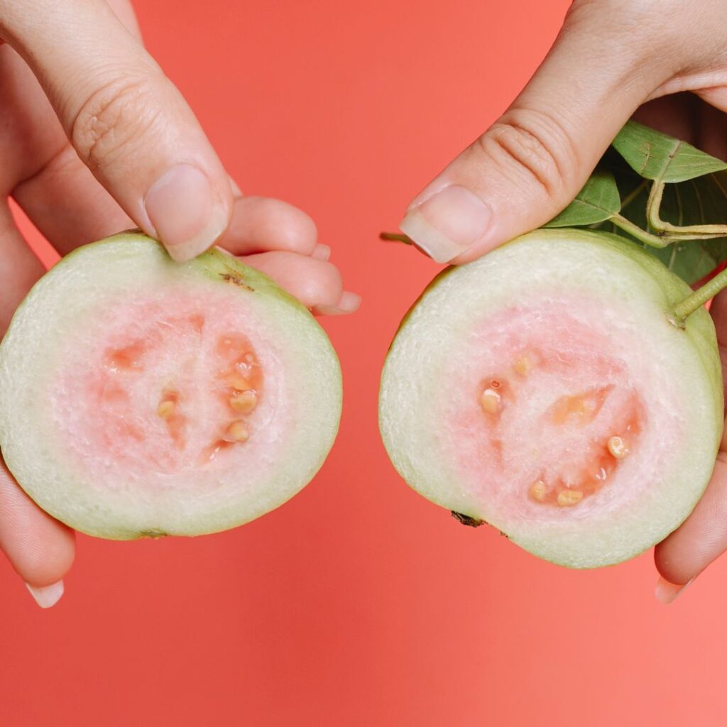 Benefícios da Goiaba para a Digestão Canina - inspiração 2