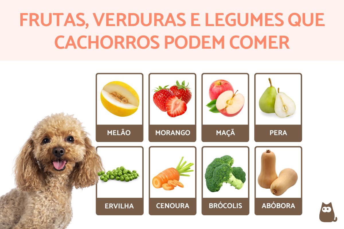 Os Perigos da Gordura e do Sal no Mocotó para a Saúde Canina - inspiração 2