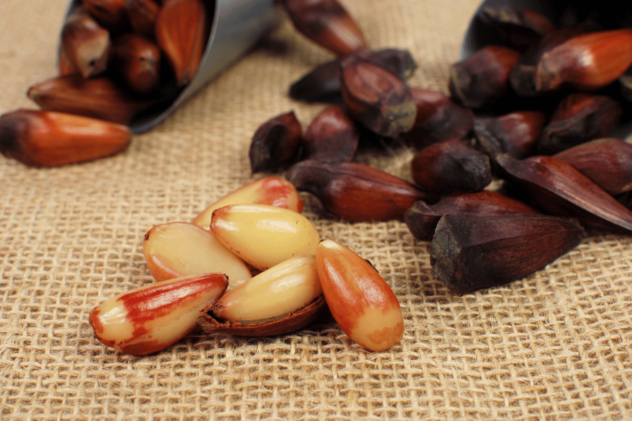 Por Que a Moderação é Crucial? Entendendo os Riscos e Restrições