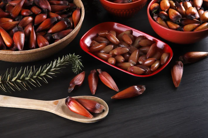 Pinhão e Outros Alimentos Juninos: Mitos e Fatos que Todo Tutor Deve Conhecer