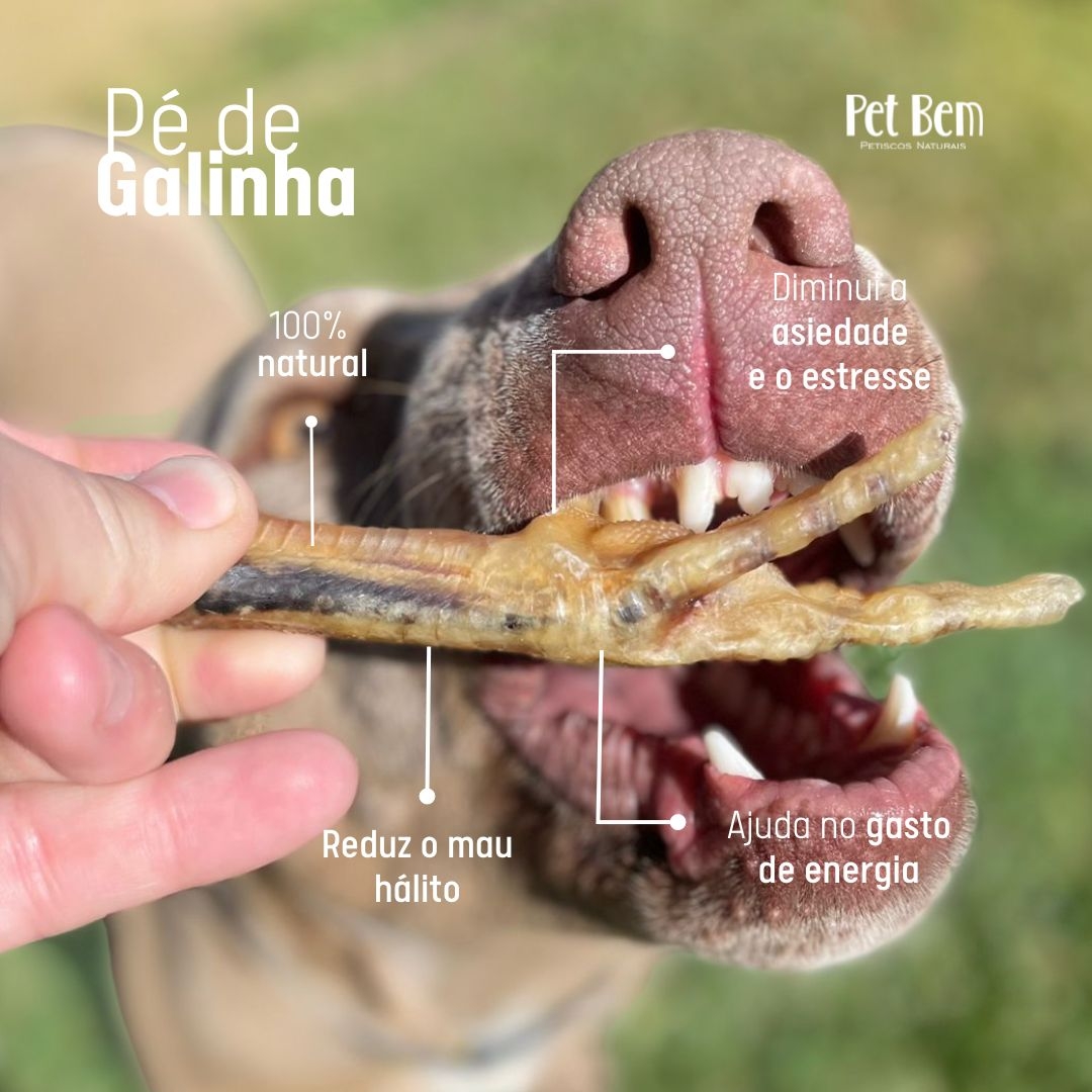 Dentes Mais Saudáveis: Limpeza Natural e Eficaz - inspiração 2