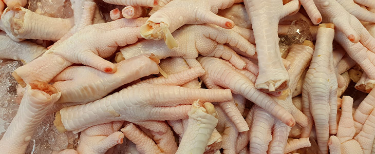 Fonte de Cálcio Essencial para Ossos Fortes - inspiração 2