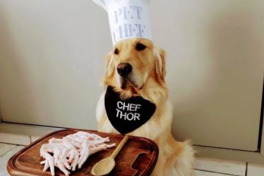 Estimula o Instinto Natural de Roer - inspiração 1