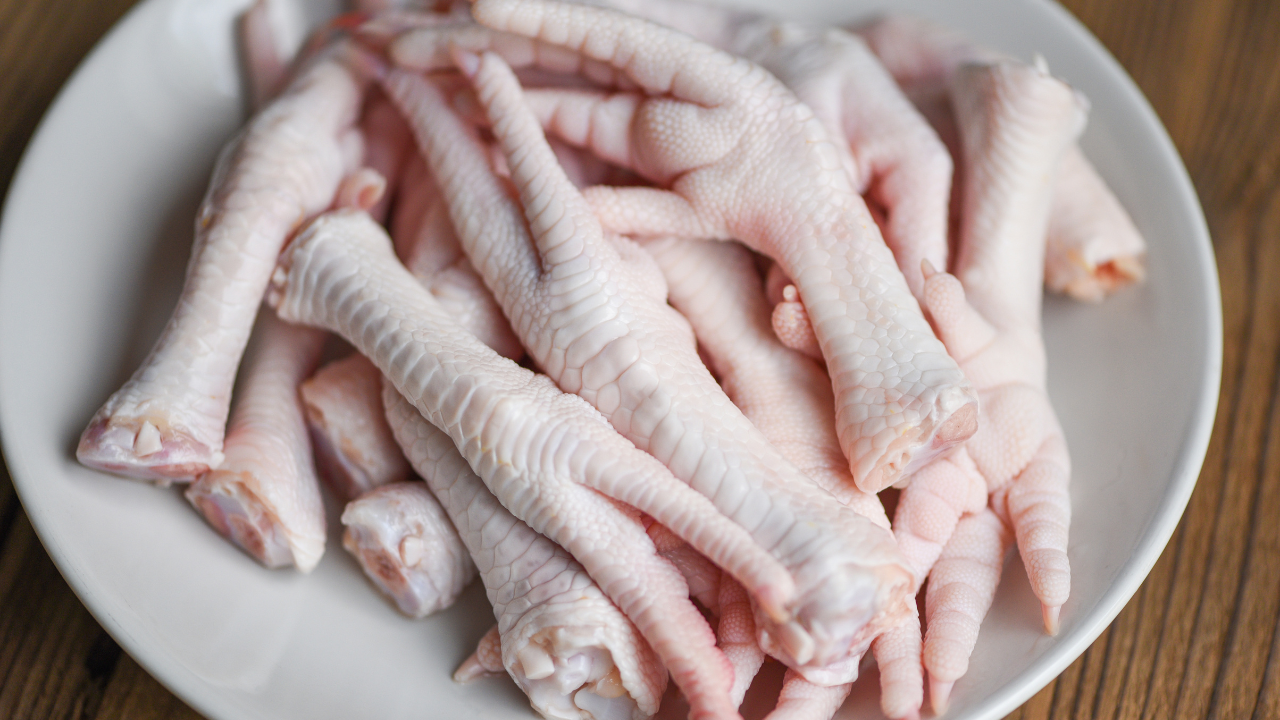 Variedade e Aceitação: Por Que os Cães Amam? - inspiração 2