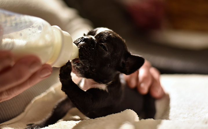 As reações mais comuns que você vai observar. - inspiração 2