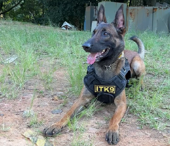 Treinamento de Alta Performance: Como Eles Viram Heróis