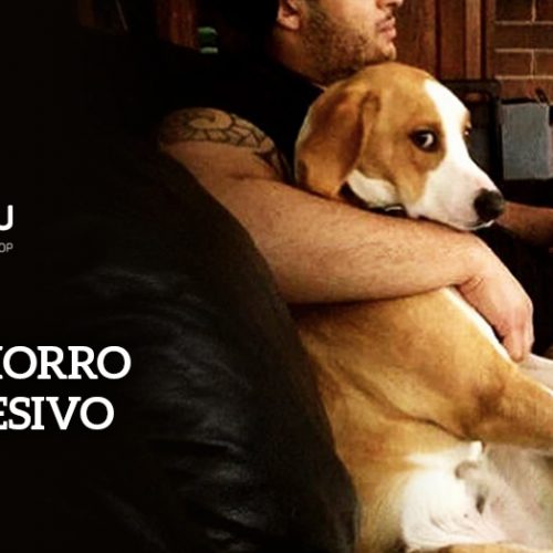 Diferentes Tipos de Objetos ou Pessoas Que Podem Ser Alvo - inspiração 2