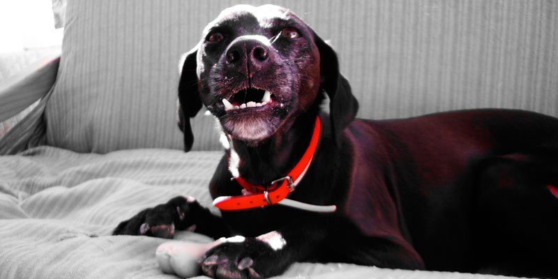 Como Distinguir Possessividade de Afeição Genuína - inspiração 1