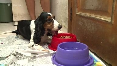 Como Distinguir Possessividade de Afeição Genuína - inspiração 2