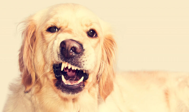 Intervenções Iniciais: Pequenas Mudanças Que Fazem Diferença - inspiração 2