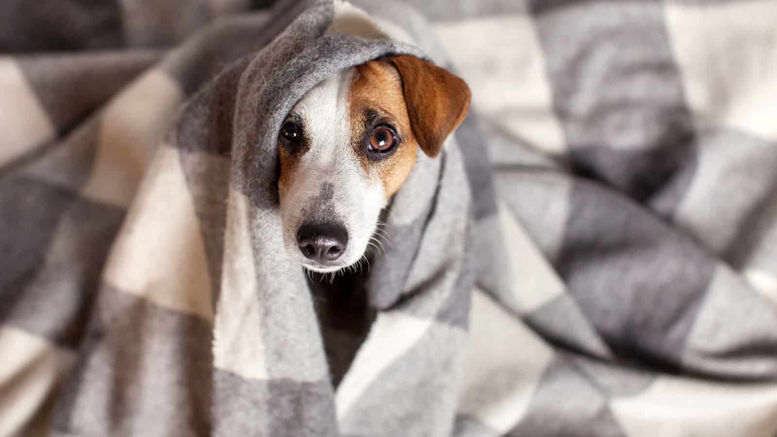 Estresse e Ansiedade: Sinais de que Algo o Incomoda - inspiração 2