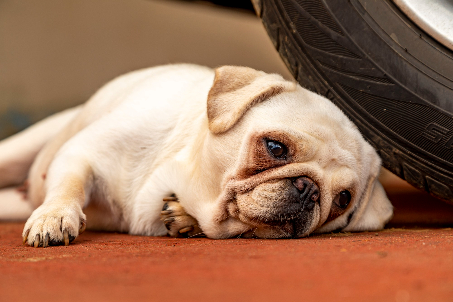 Doenças Neurológicas: Quando os Tremores Indicam Problemas Mais Sérios - inspiração 1