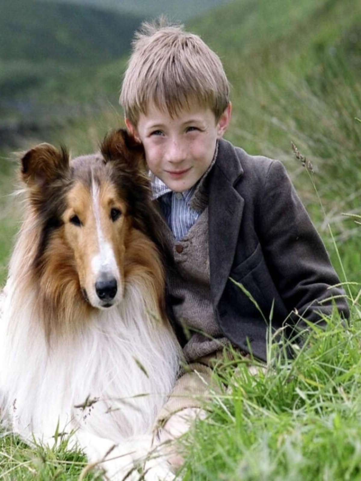 Sempre ao Seu Lado: Lealdade Inabalável que Atravessa Gerações - inspiração 2