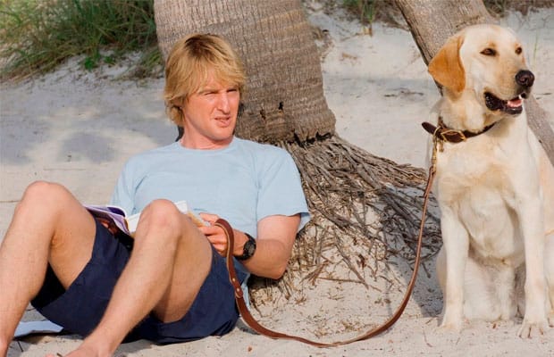 Marley & Eu: Explorando a Dinâmica de um Cachorro Excepcional - inspiração 2