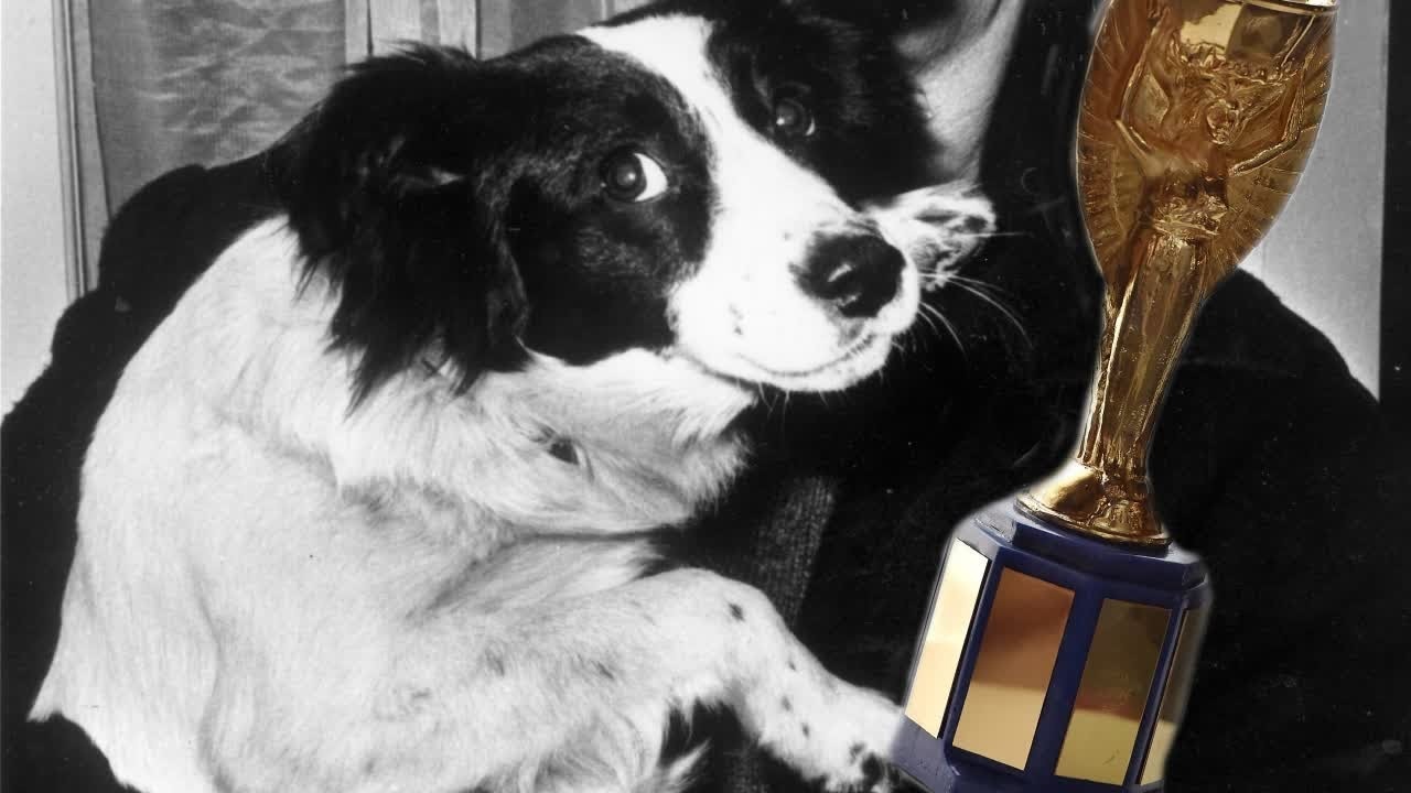 O Futuro da Relação Humano-Cachorro: Uma Parceria Evolutiva - inspiração 1