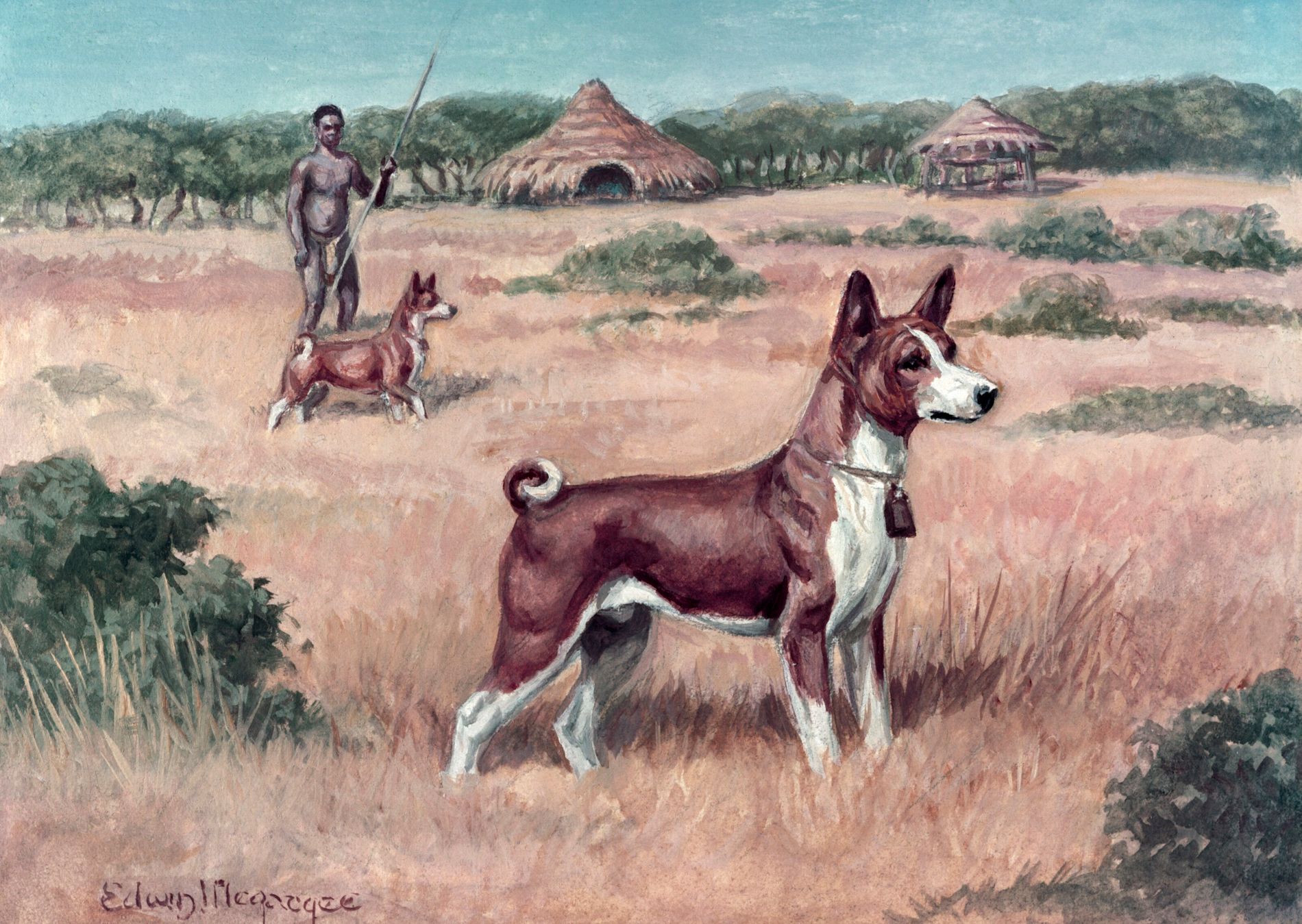 Cães em Momentos Históricos Cruciais: Heróis Silenciosos - inspiração 2