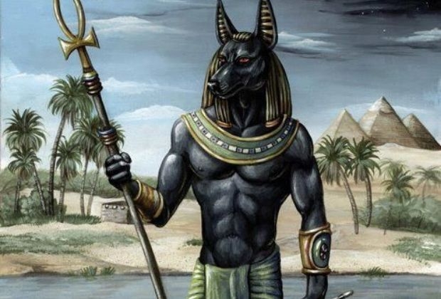 O Cão de Osíris: Lealdade no Mundo Espiritual Egípcio - inspiração 1