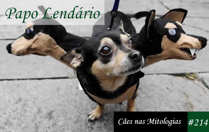 Deuses e seus Cães: Uma Conexão Ancestral - inspiração 2