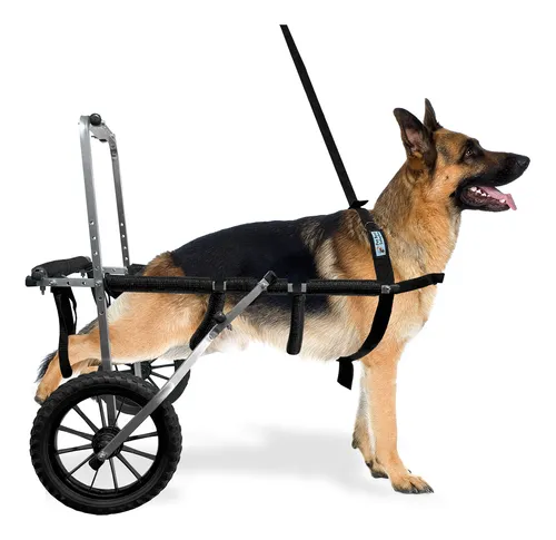 Tamanhos e Ajustes: A Importância de um Encaixe Preciso - inspiração 2