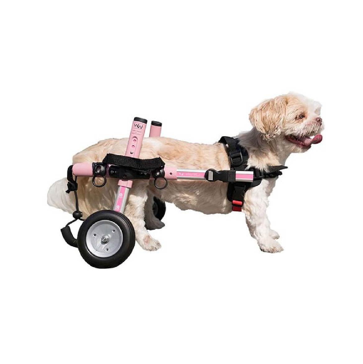 Segurança em Primeiro Lugar: Recursos que Protegem seu Pet - inspiração 1