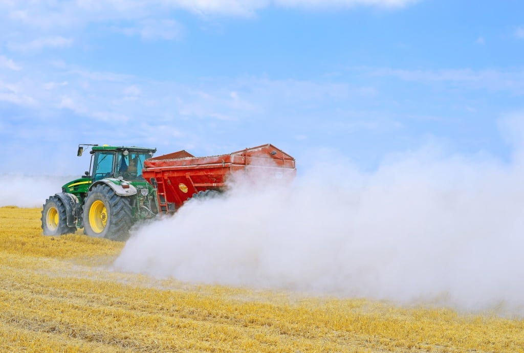 Calagem e Plantio: Uma Dupla Que Garante o Sucesso das Suas Plantas - inspiração 2