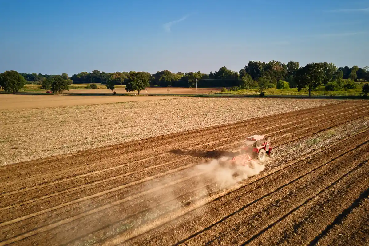 Tipos de Cal: Qual Escolher Para Seu Solo? - inspiração 2