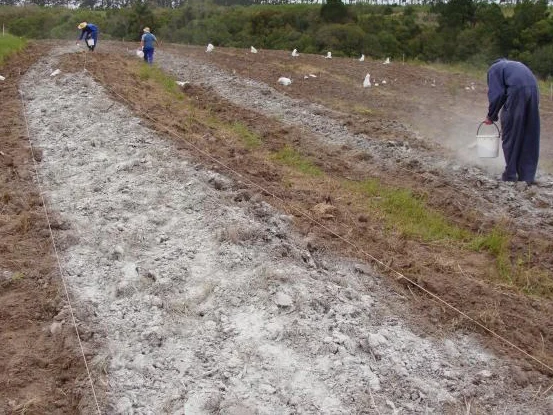 A Maneira Correta de Espalhar a Cal no Solo - inspiração 1