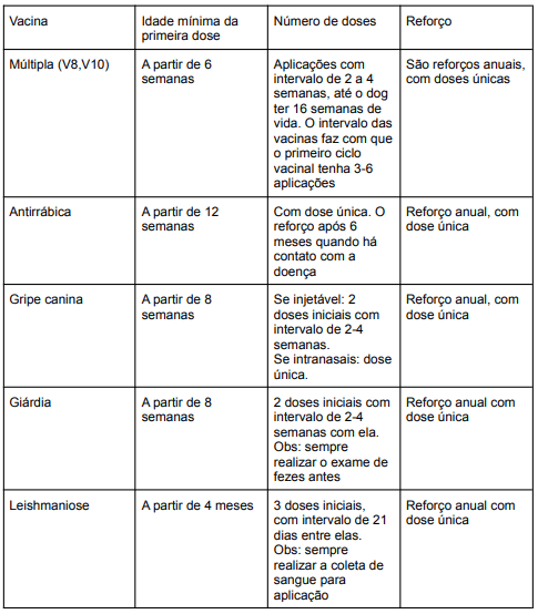 Vacinas de Reforço: Manutenção da Imunidade - inspiração 1