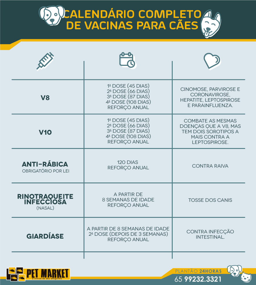 Cuidados Pós-Vacina: Fique Atento - inspiração 2