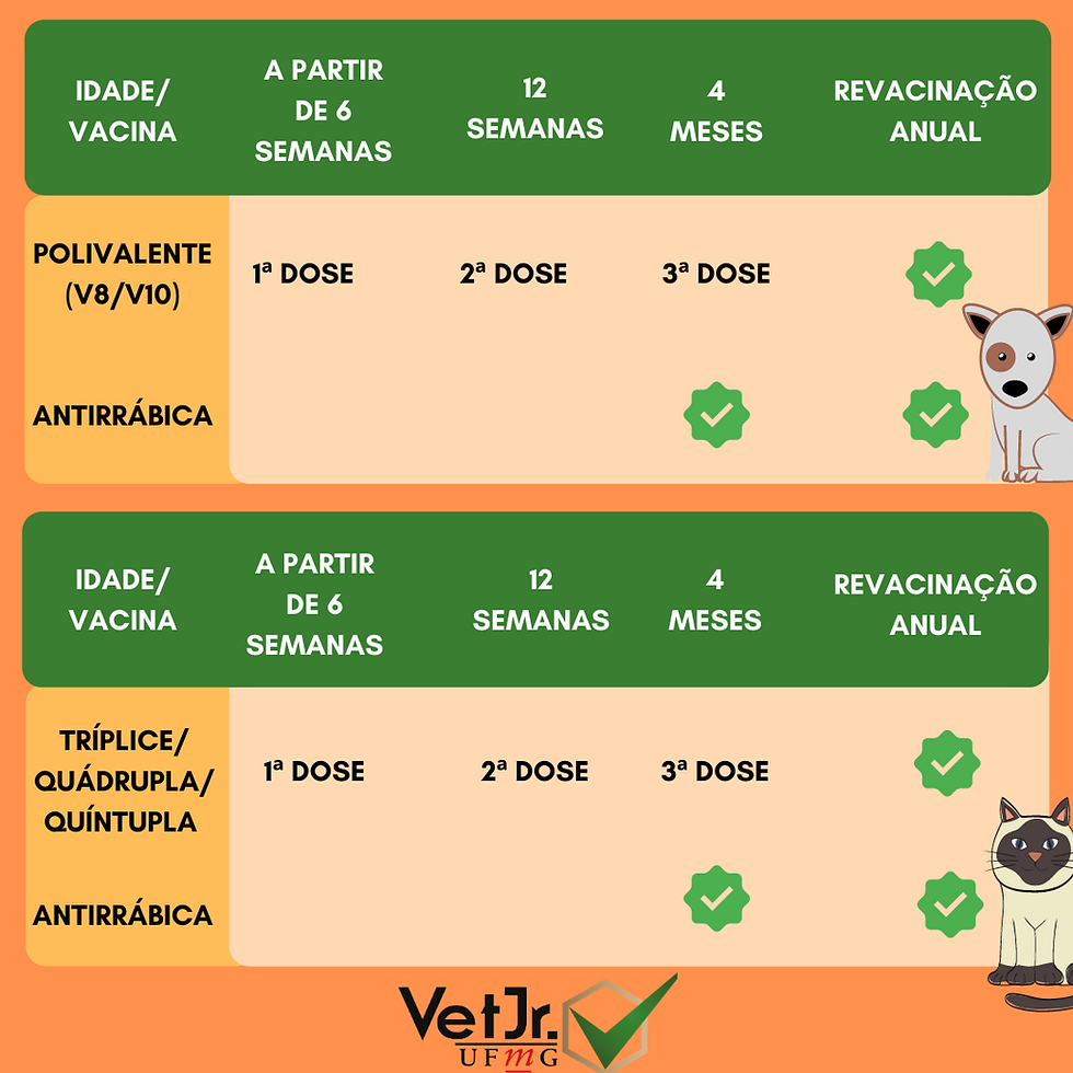 Vacinação em Cães Adultos: Nunca é Tarde - inspiração 2