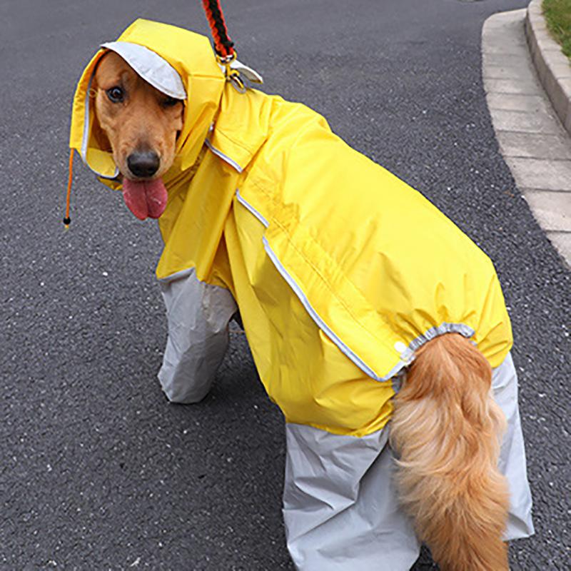 Manutenção e Limpeza: Cuidando da Capa para Durar Mais - inspiração 2