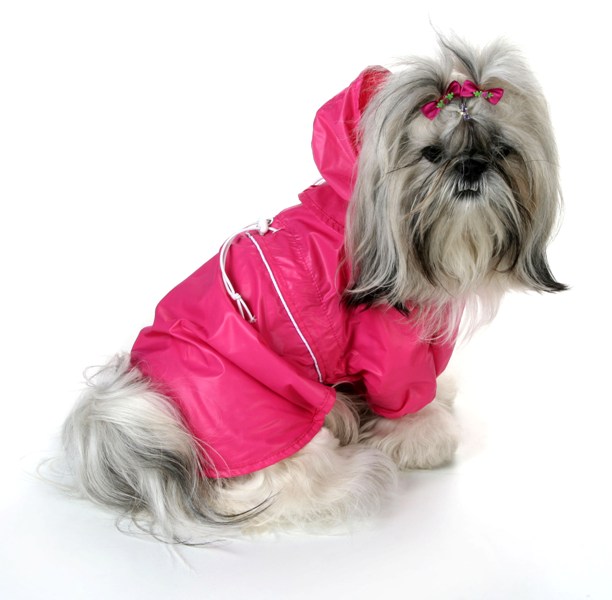 Estilos e Cores: Opções para Todos os Gostos e Personalidades - inspiração 2