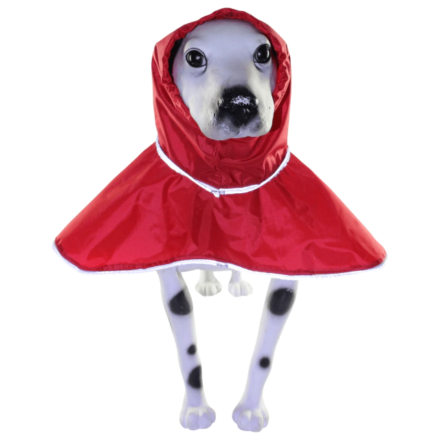 Quando Seu Cachorro Realmente Precisa de Uma Capa de Chuva? - inspiração 2