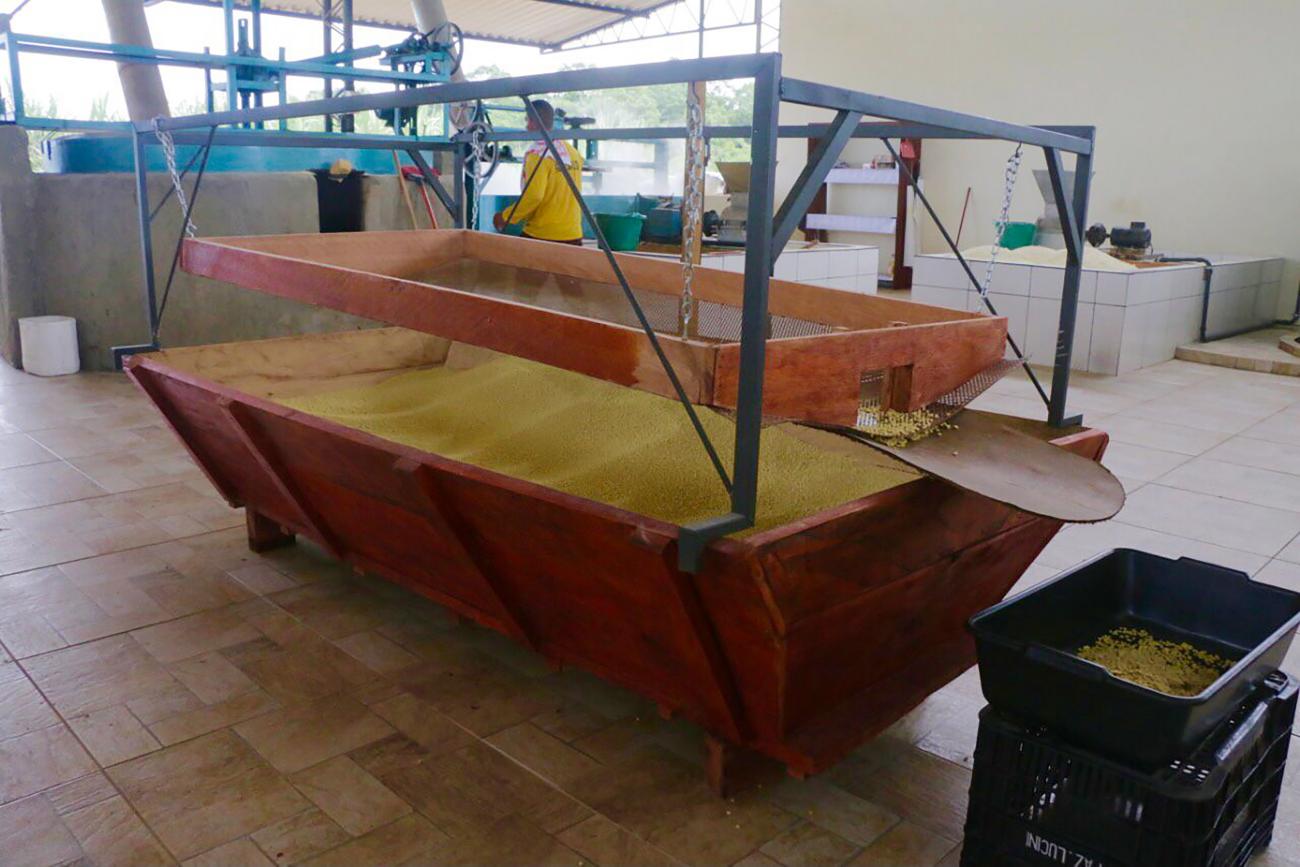 A Integração com o Verde: Um Toque Natural para Inspirar - inspiração 1