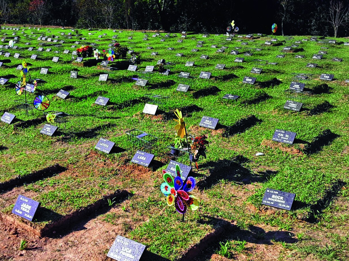 O luto é um processo individual: Reconheça e valide seus sentimentos. - inspiração 2