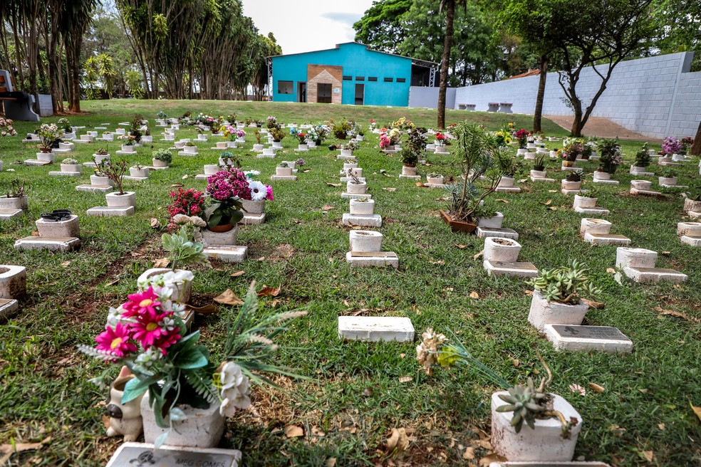 Converse sobre sua dor: Compartilhe memórias e saudades com quem entende. - inspiração 2