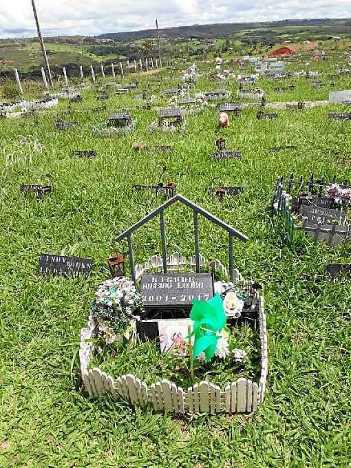 Permita-se chorar: Não há tempo certo para superar a perda de um animal. - inspiração 1