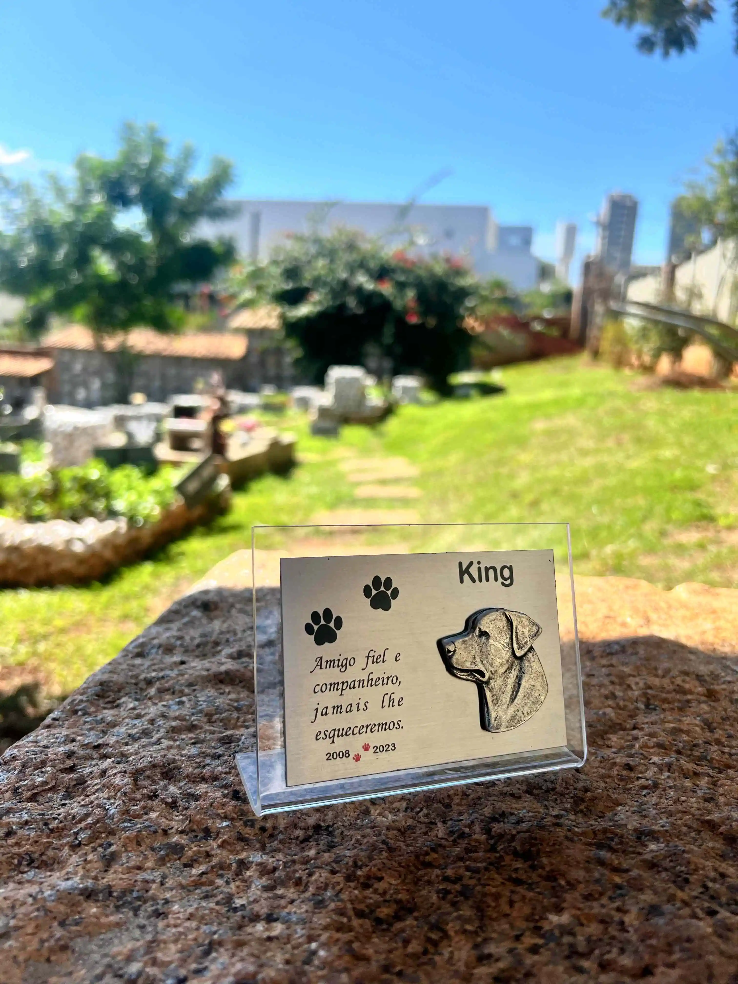 Crie um ritual de despedida: Honre a memória do seu pet de forma significativa. - inspiração 1