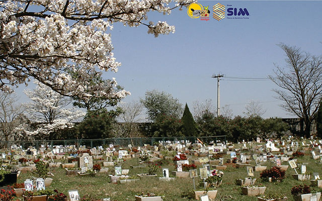 Entenda o impacto psicológico: A conexão com pets é profunda. - inspiração 2