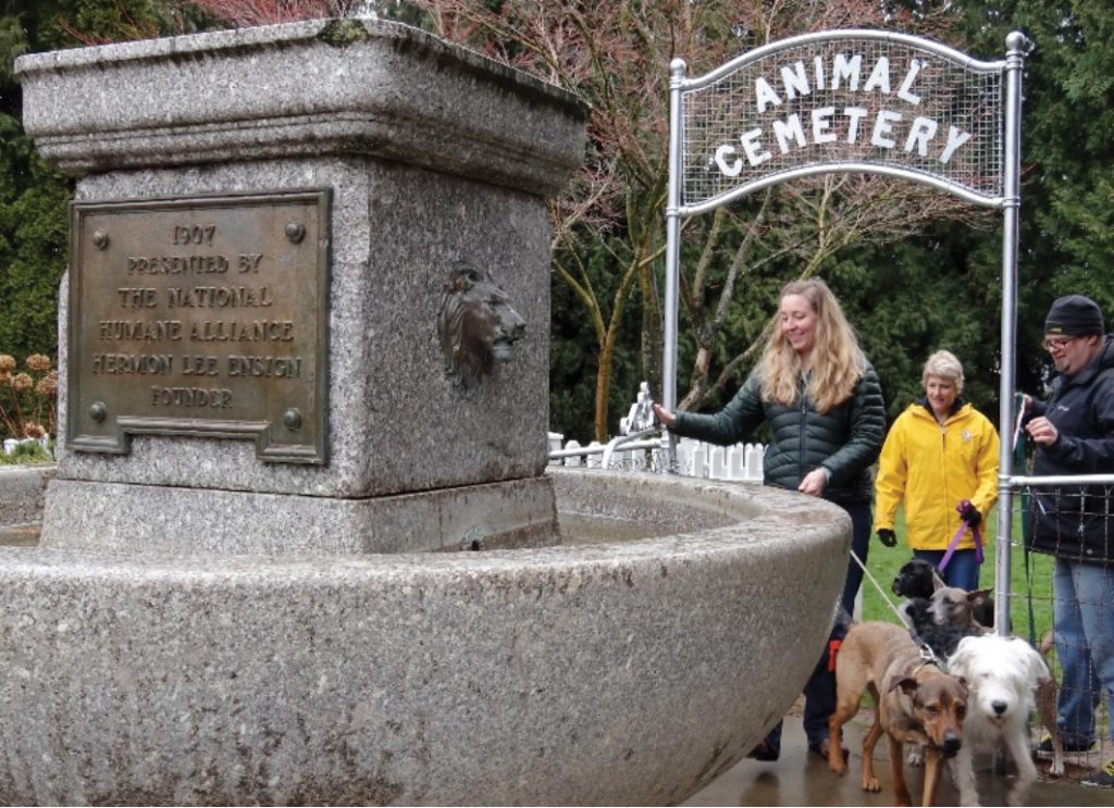 A dor pode vir acompanhada de culpa: Desmistificando sentimentos pós-perda. - inspiração 1